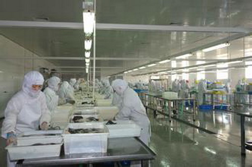 食品设备